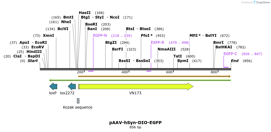 77690_map