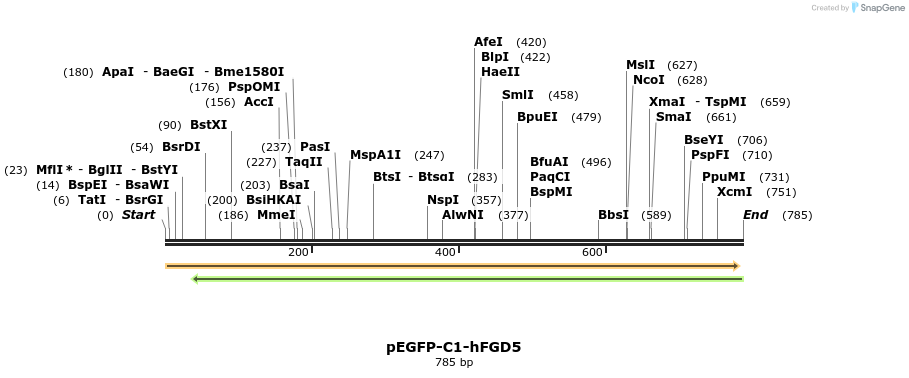 77691_map