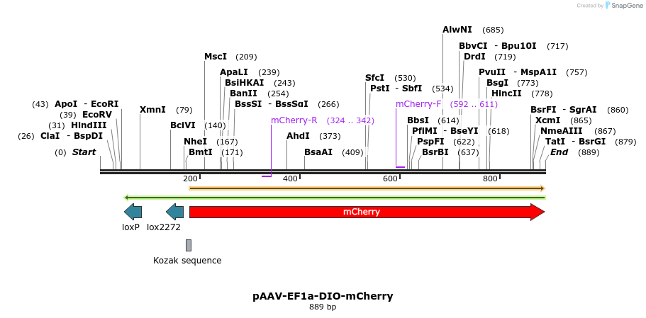 77698_map