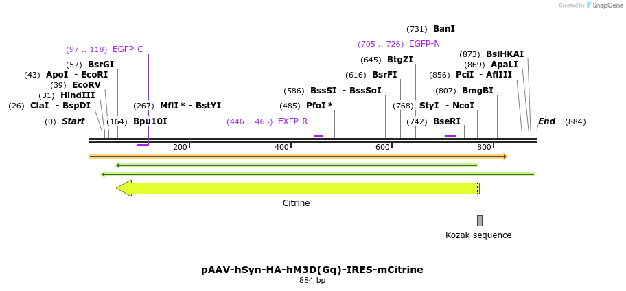 77699_map