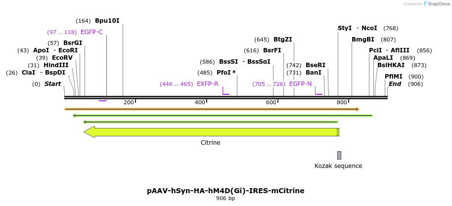77700_map