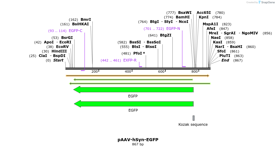 77702_map