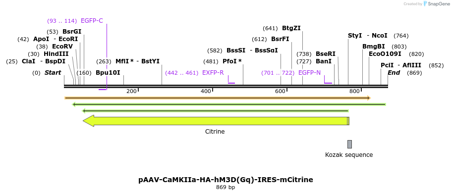 77703_map