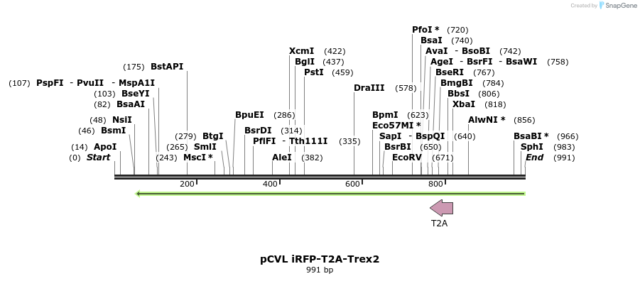 77704_map