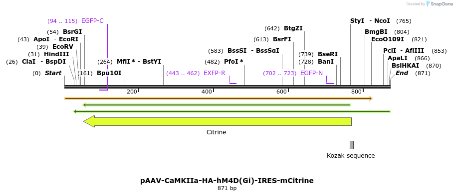 77705_map