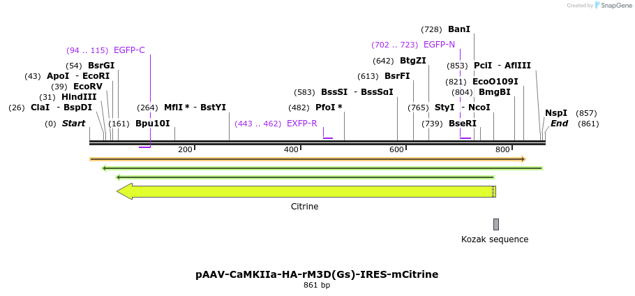 77706_map