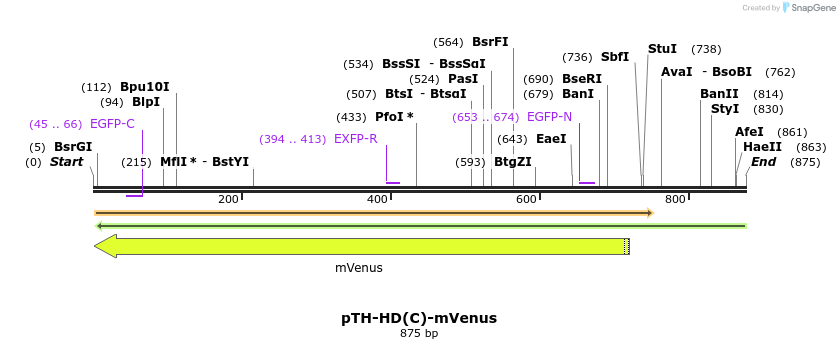 77708_map