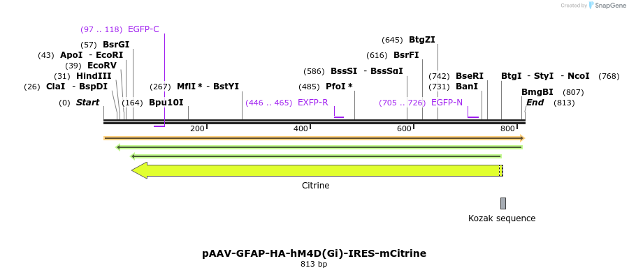 77710_map