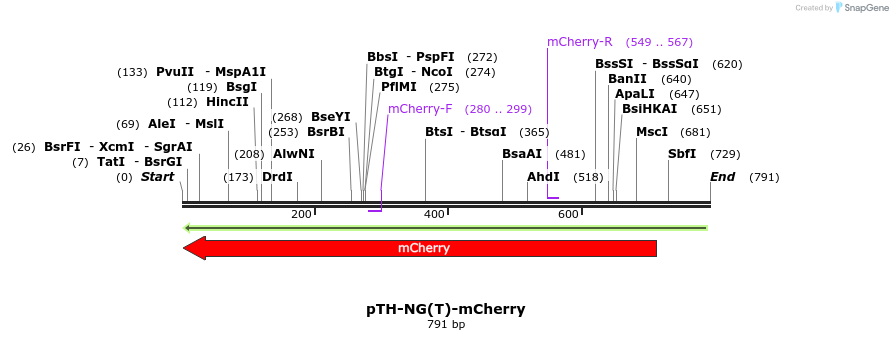 77712_map