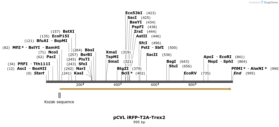 77714_map