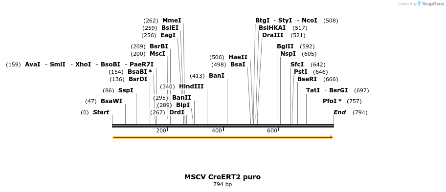 77715_map