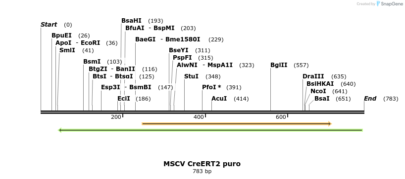 77716_map