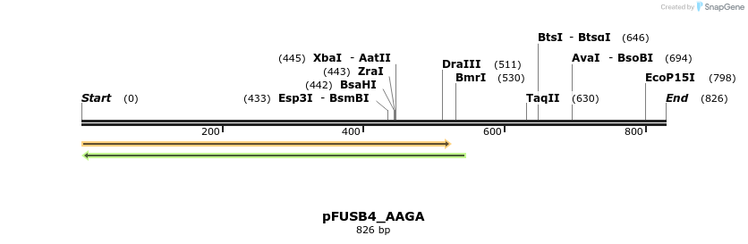 77718_map