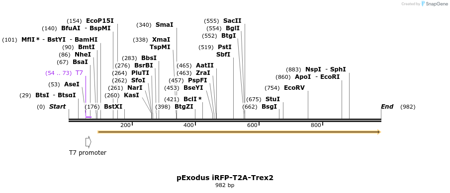 77720_map