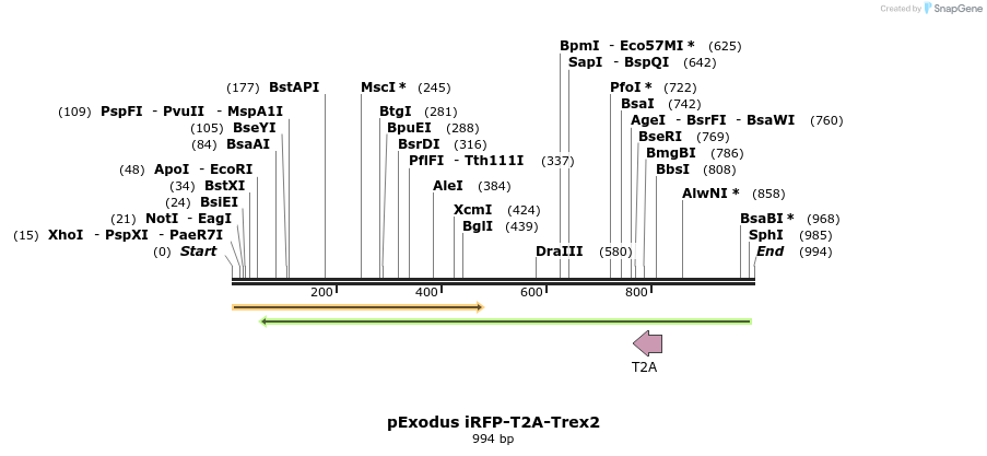77723_map