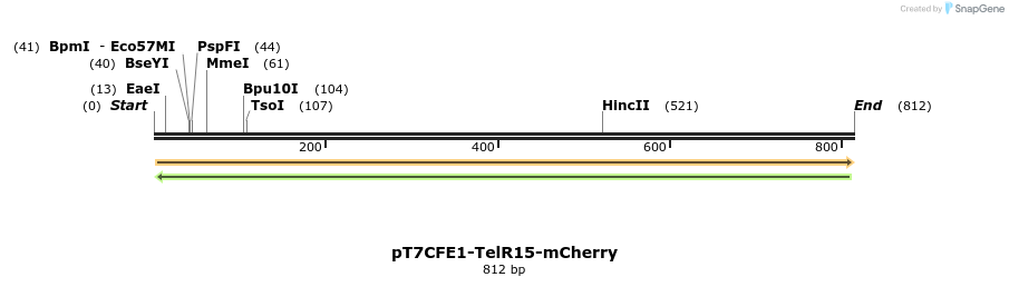 77725_map
