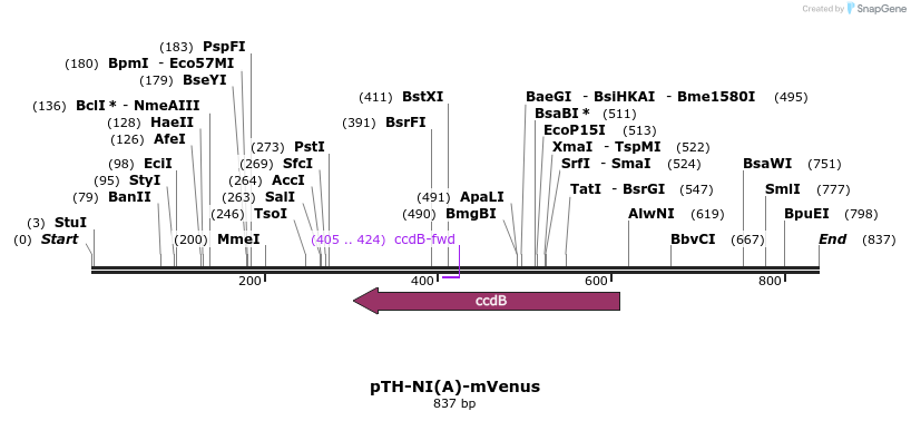 77726_map