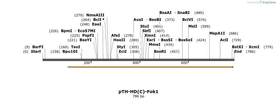 77728_map