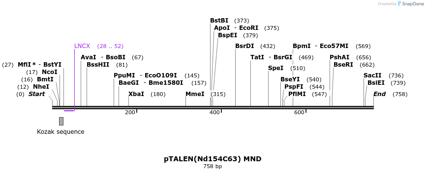 77736_map