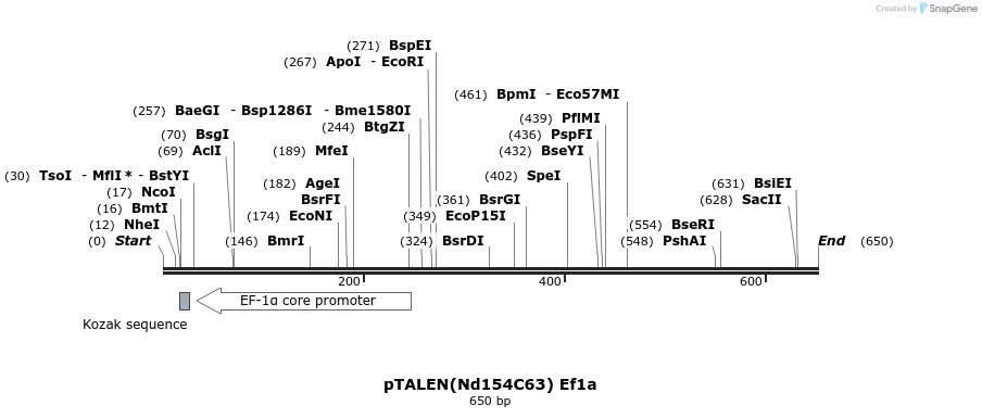77737_map