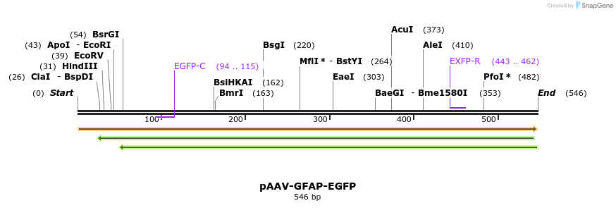 77740_map