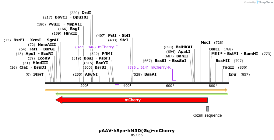 77741_map