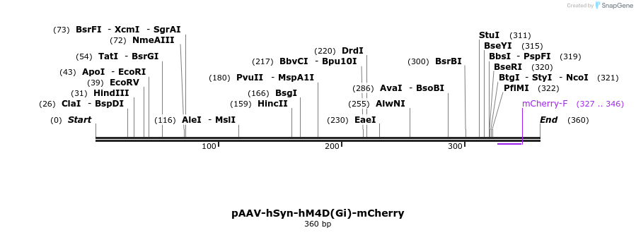 77742_map