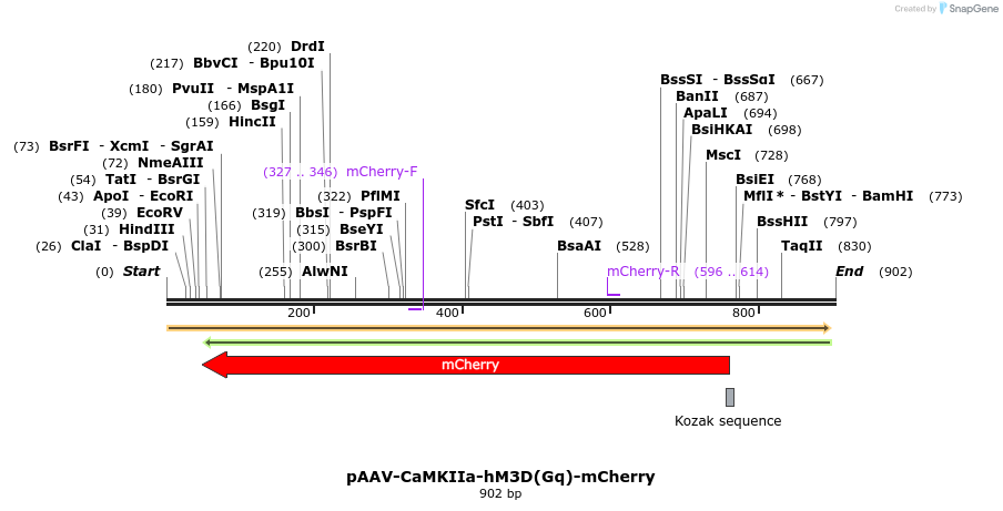 77743_map