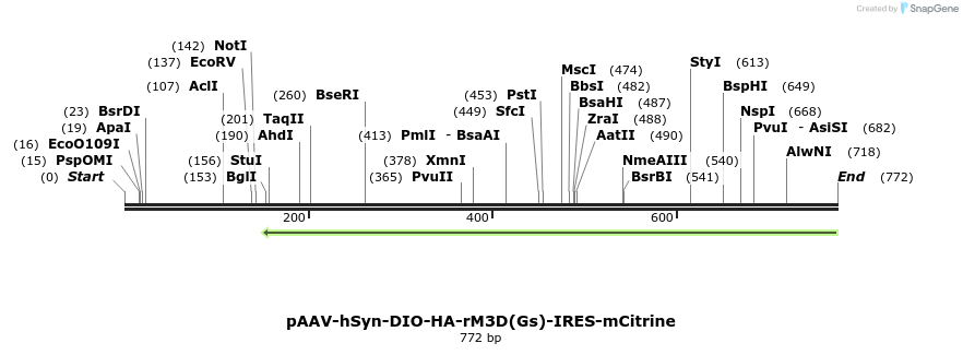 77752_map