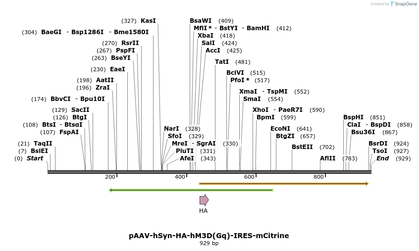 77763_map