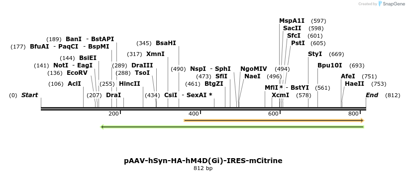 77764_map