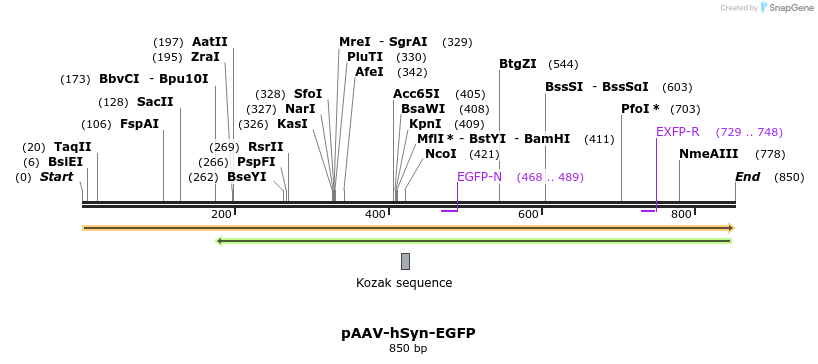 77768_map
