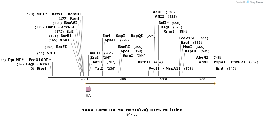 77775_map