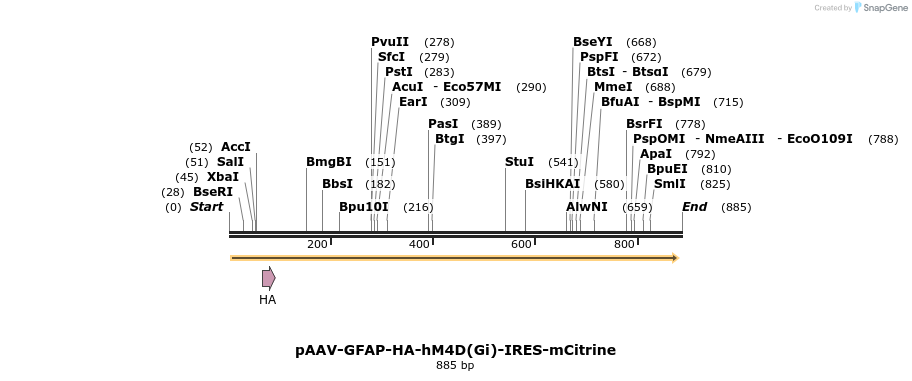 77780_map