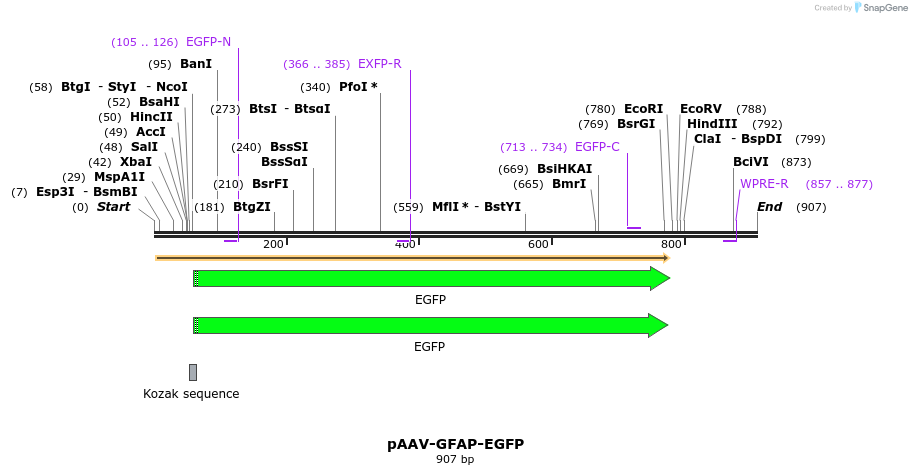77784_map