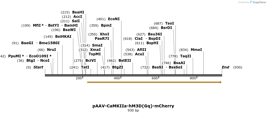 77790_map