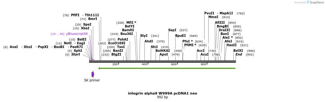 77791_map