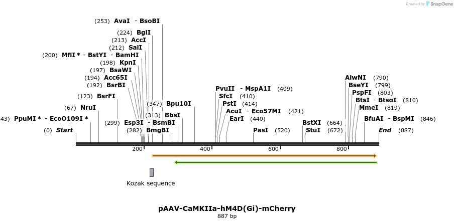 77794_map