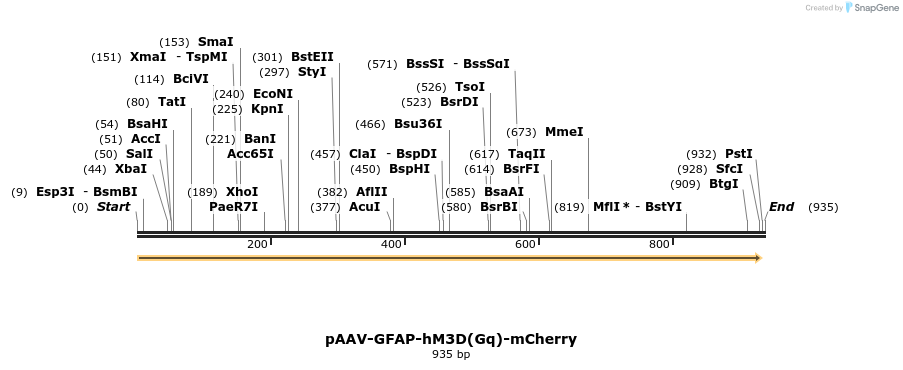 77796_map