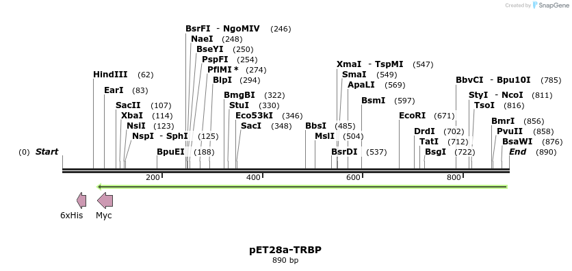77799_map