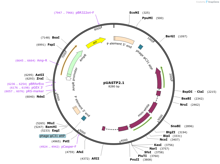 7780_map
