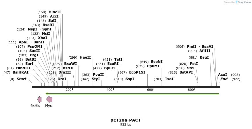 77800_map