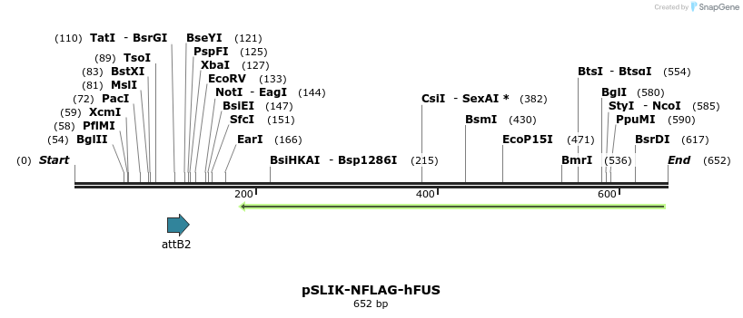77802_map