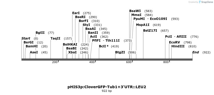77803_map