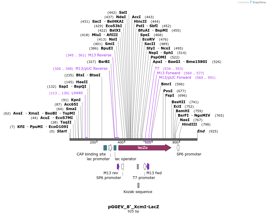77809_map