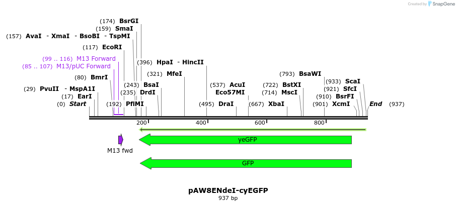 77810_map