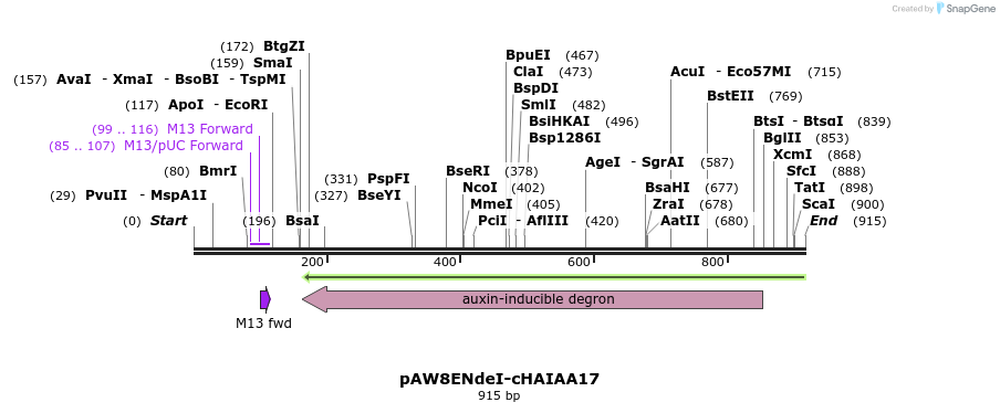 77811_map