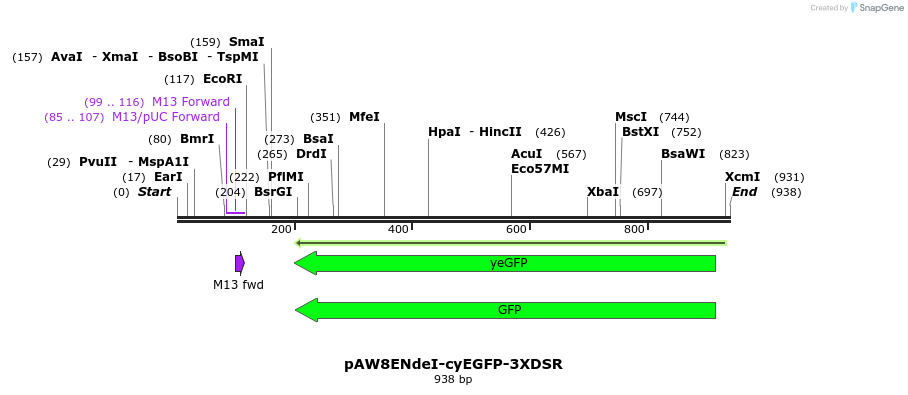 77812_map
