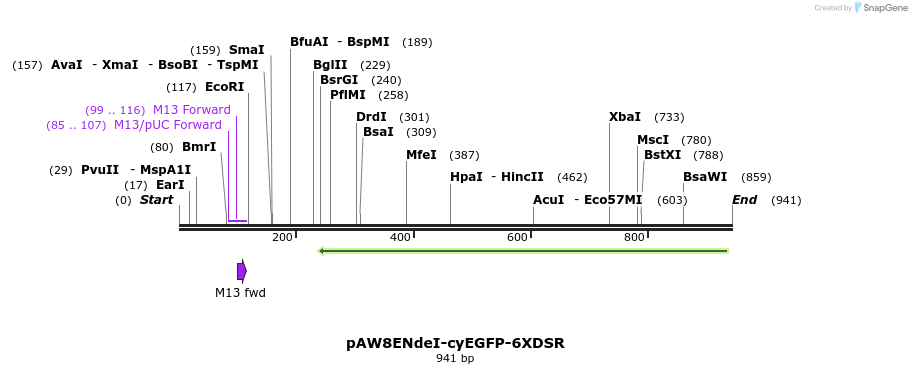 77813_map