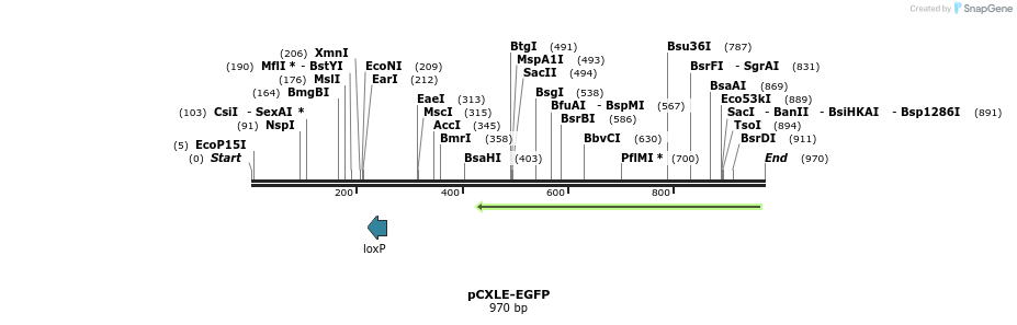 77815_map